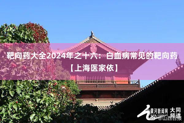 靶向药大全2024年之十六：白血病常见的靶向药【上海医家依】