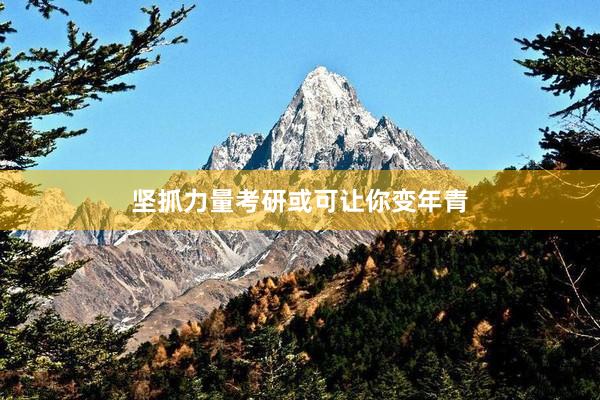 坚抓力量考研或可让你变年青